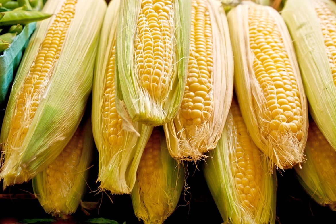 Corn Rallies into the Wednesday Close
