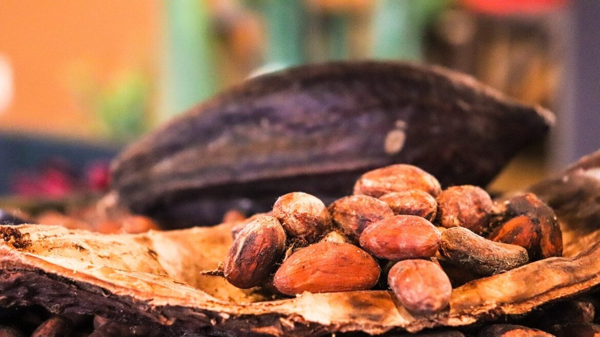 Smaller Ghana Cocoa Crop Supports Prices