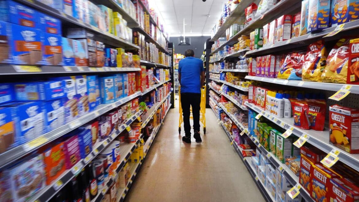 Dollar General quietly builds an entirely new way to serve customers